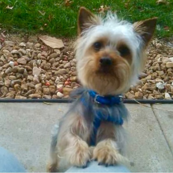 Meet your Posher, Denise - Picture 3 of 3